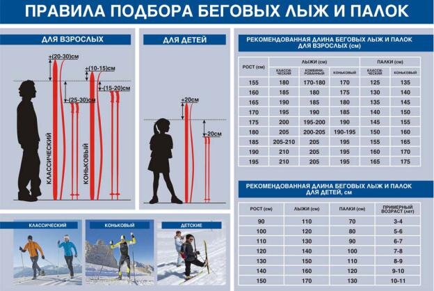 Как выбрать беговые лыжи?