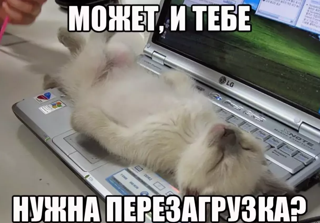 Сделай очень сильно. Сделай паузу в работе. Кот отдыхает Мем. Кот устал ждать. Кот спит Мем.