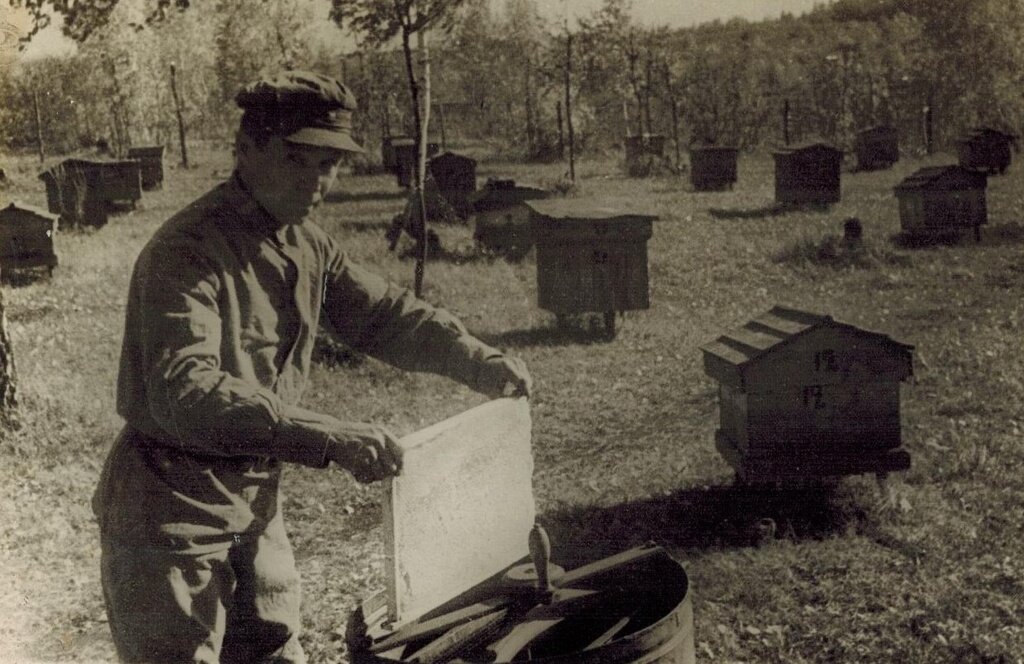История нашей семьи.