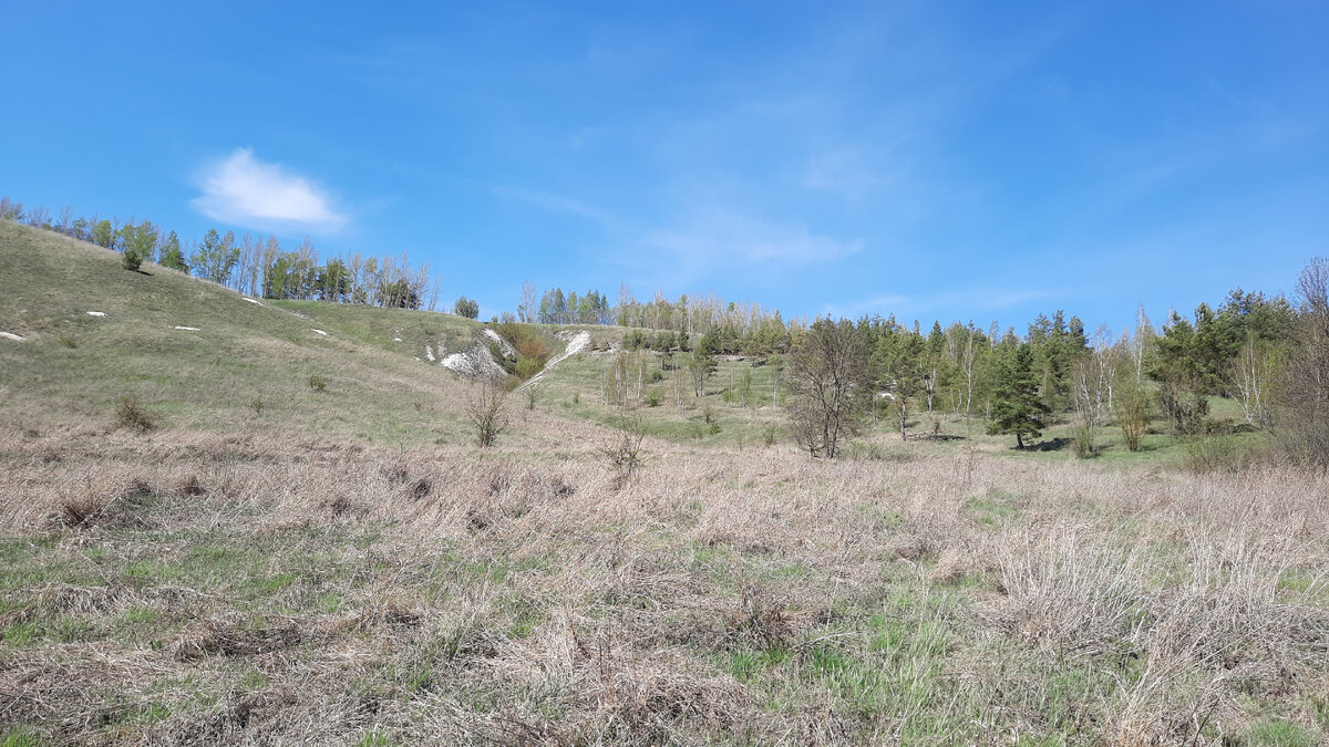 Красоты вдоль реки Северский Донец