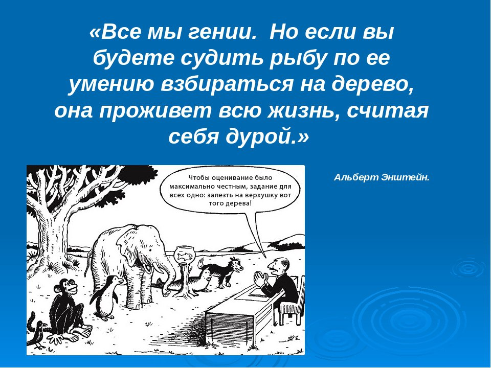 Вы будете. Если вы будете судить рыбу по её способности взбираться на дерево. Задача всем залезть на дерево. Задание залезть на дерево. Одинаковое задание для всех залезть на дерево.