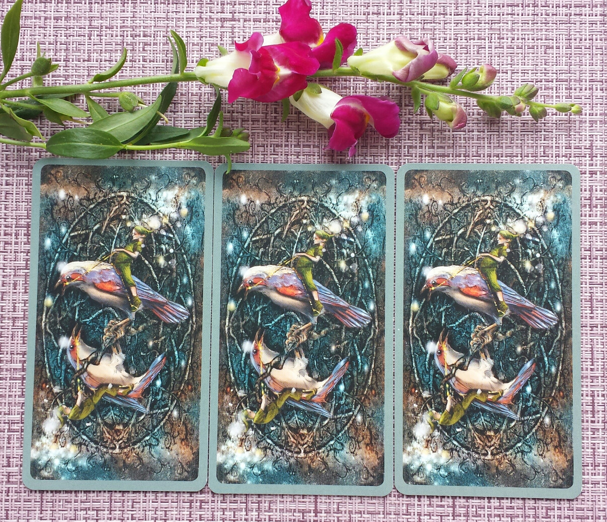 Выбор варианта: 1, 2, 3