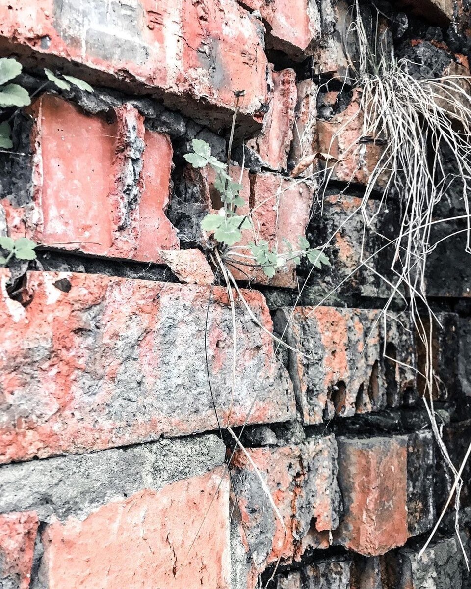 Просто красивая фоточка