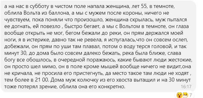 Скрин из моего чата. 