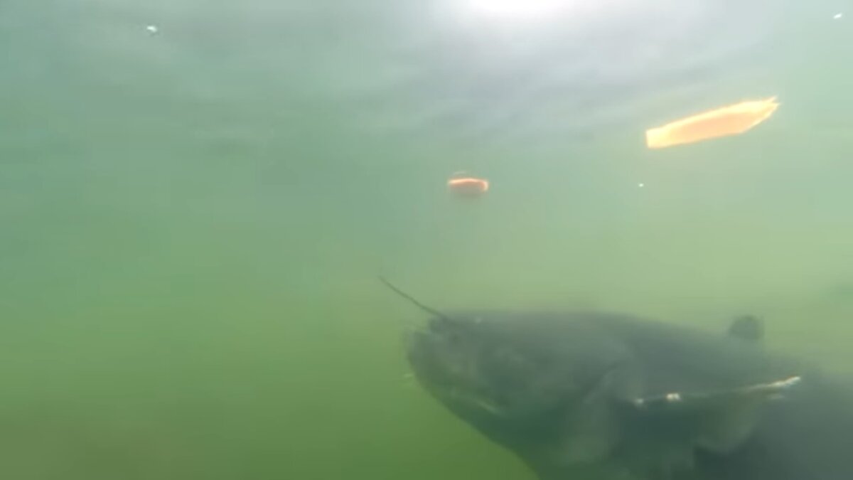 Источник: yandex.ru 