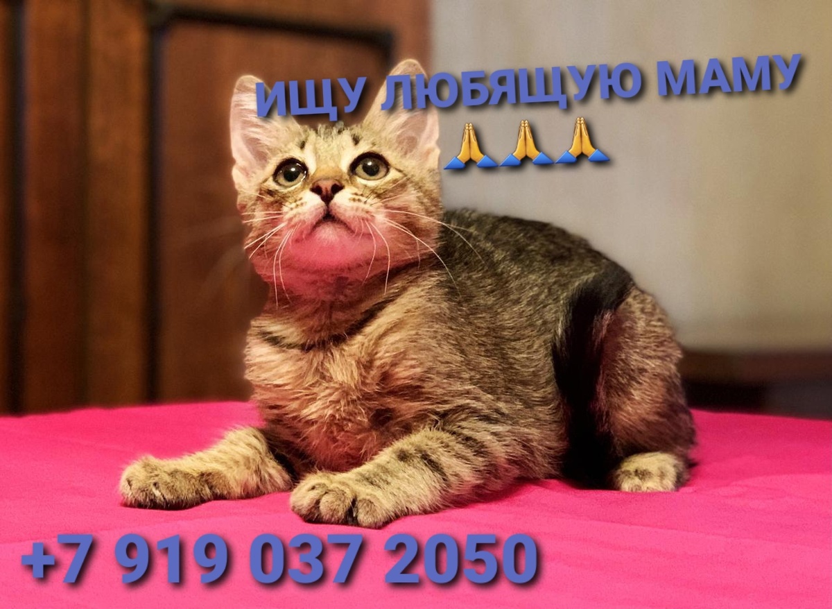 Давайте знакомиться !!! Я Гришанька !!!