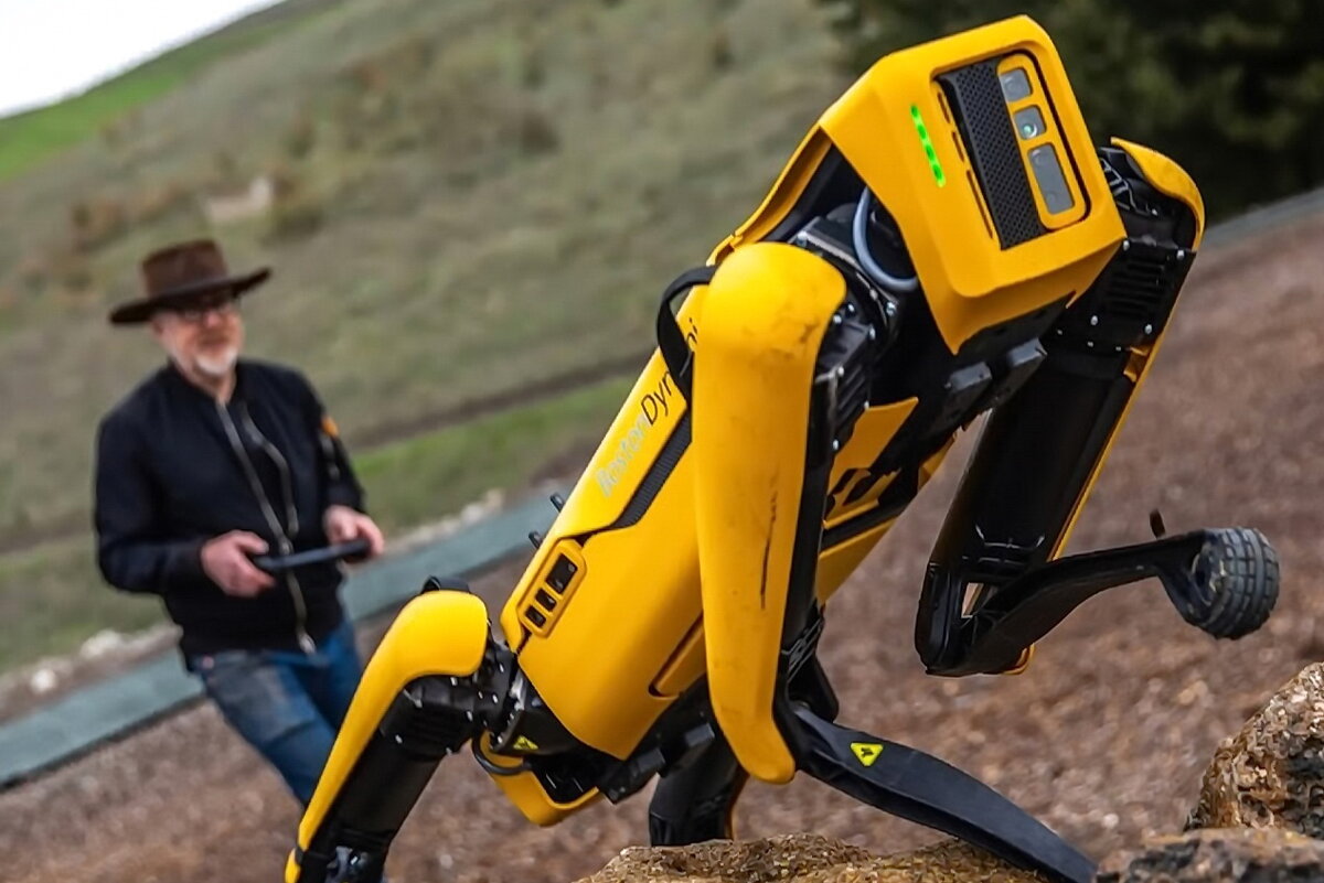 Робо собака Spot отрабатывает навыки передвижения на пересеченной местности; снимок из открытых источников информации сети интернет