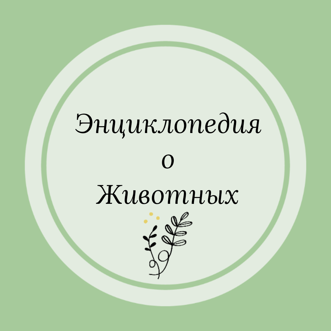 Это наша эмблема (аватарка)