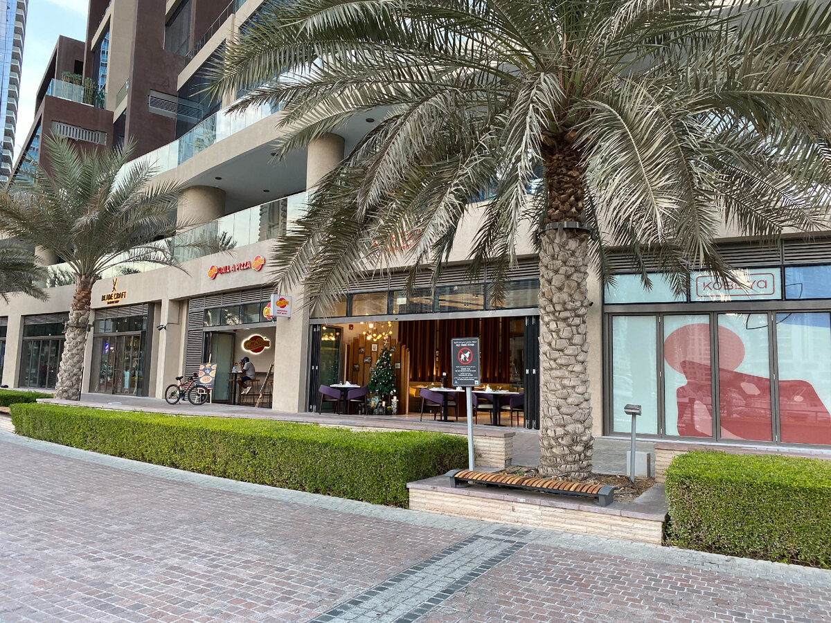 Найди елку :)