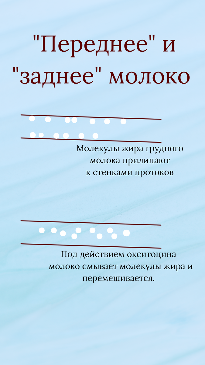 Переднее и заднее молоко. | MAMIHELP (ГВ/ИВ, прикорм) | Дзен