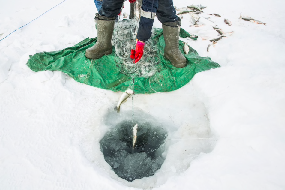 Фото: Тейлор Вейдман