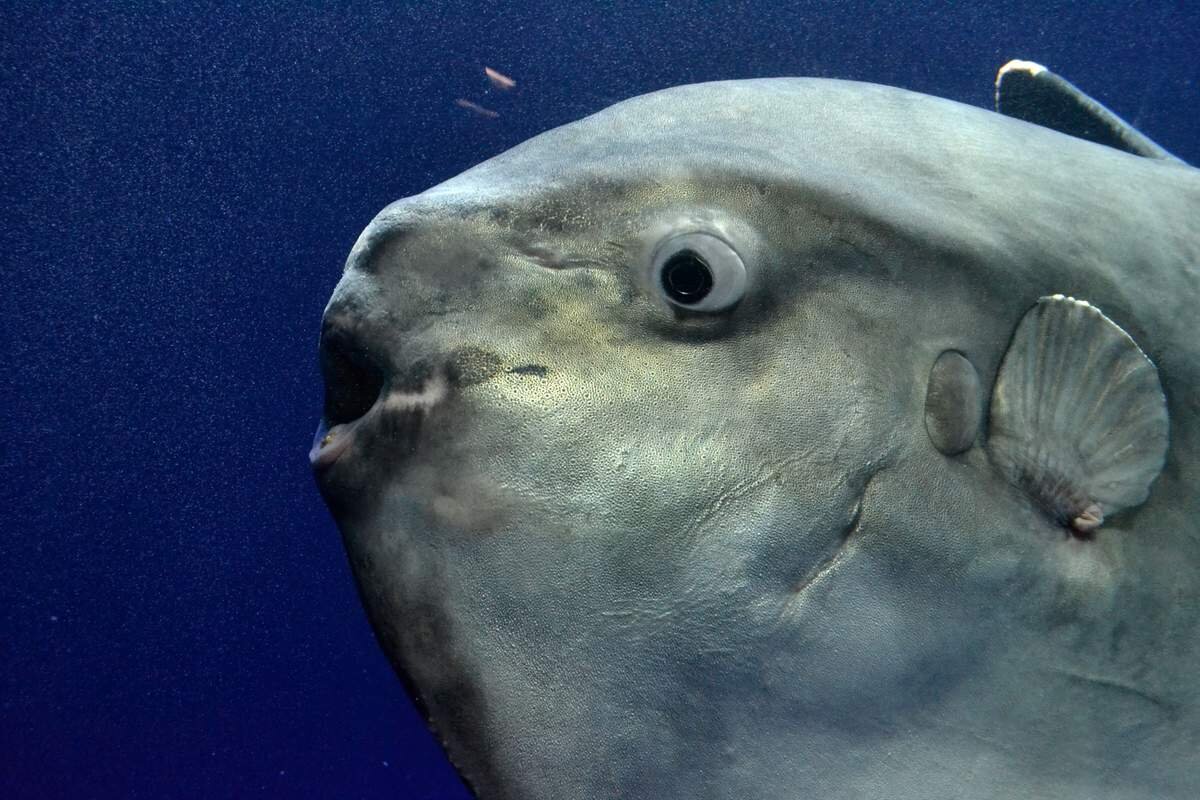 Источник: yandex.ru 