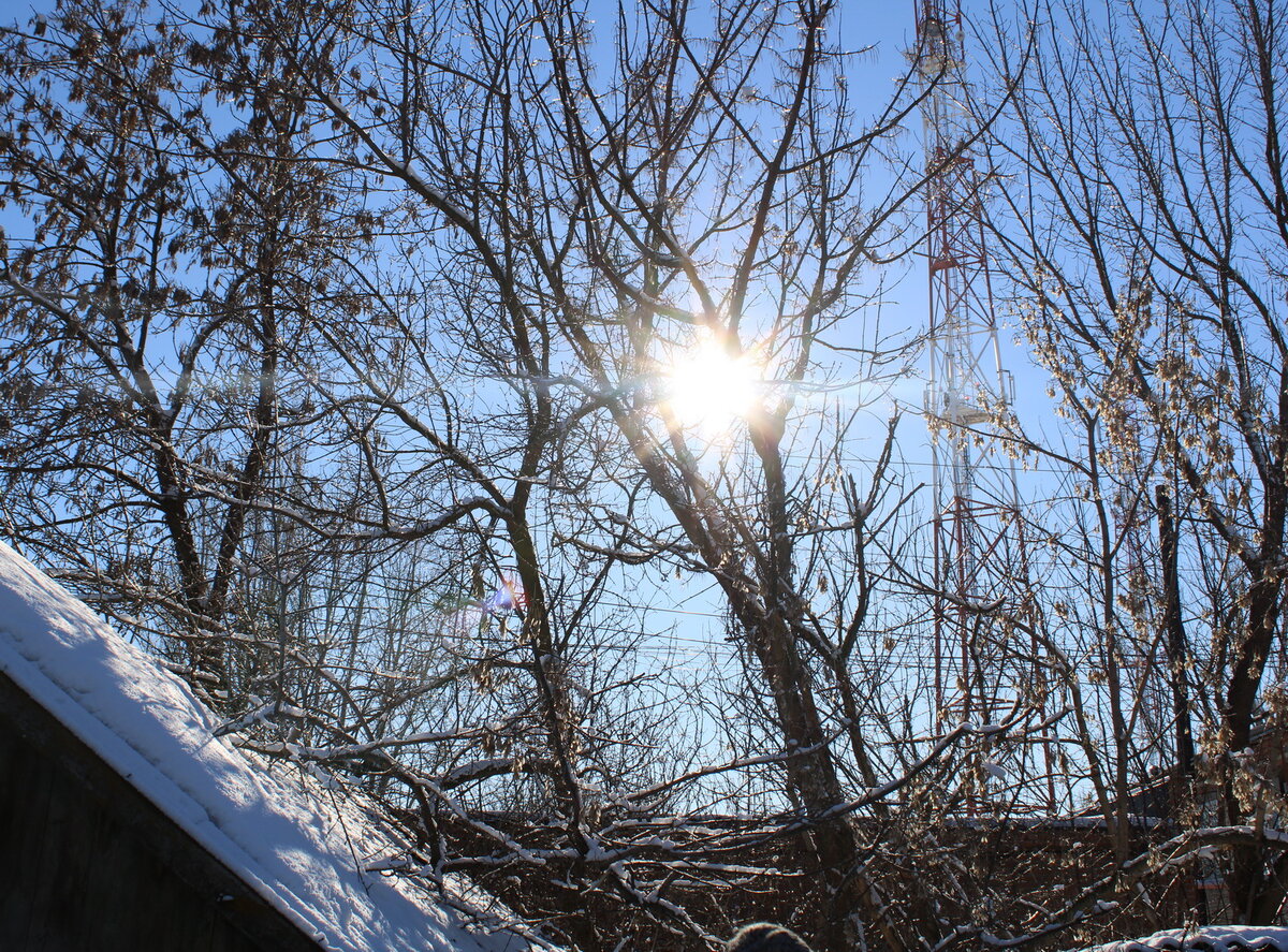 Яркое позднефевральское солнышко.