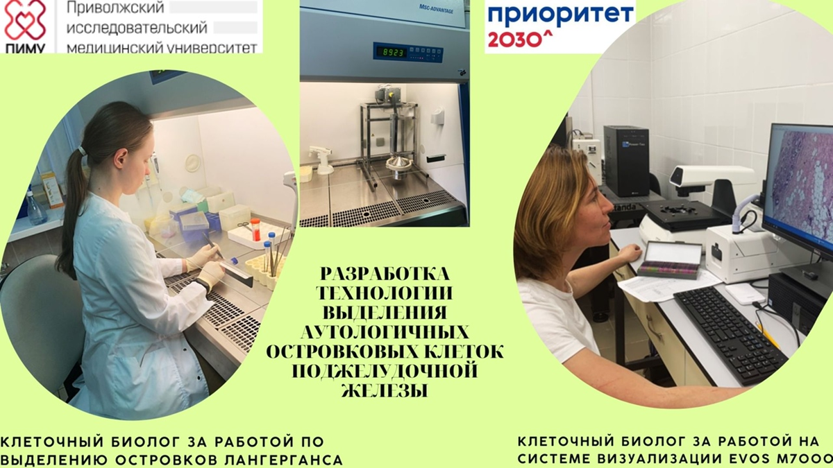 Разработки по выделению клеток поджелудочной железы