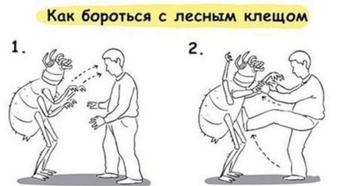 Приколы про клещей картинки
