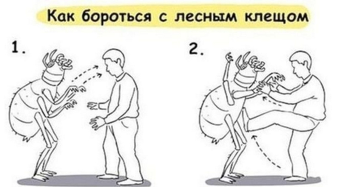 Рисунок про клещей