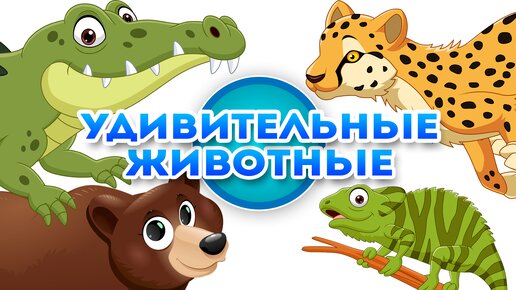 Удивительные животные - Познавательное видео для детей