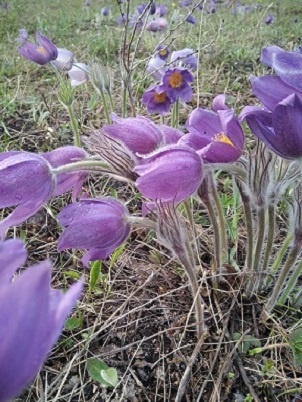 Фотография из личного архива автора