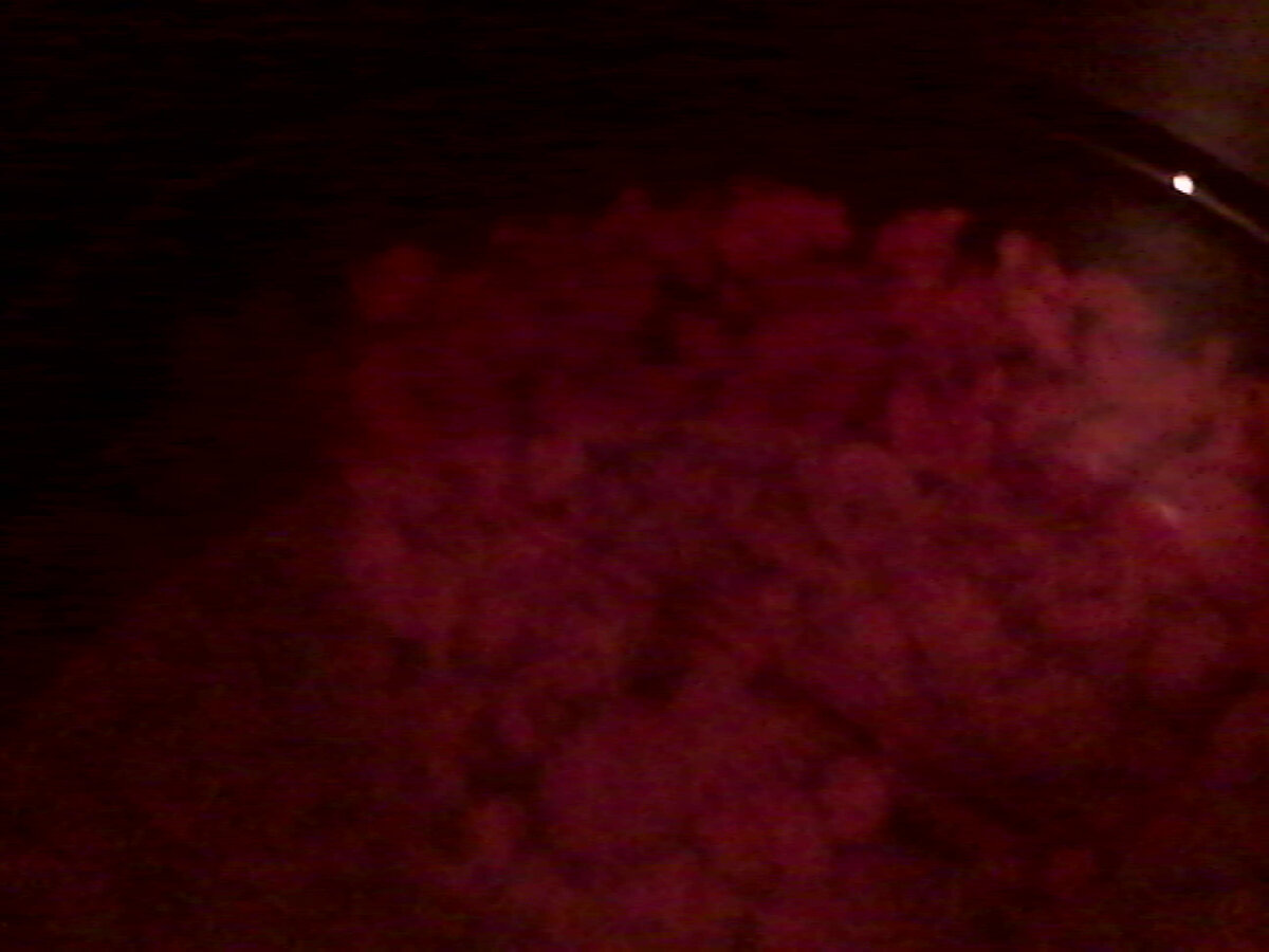 Компот из мультиварки