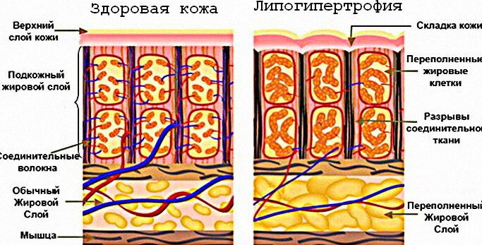 Яндекс.Картинки [1]