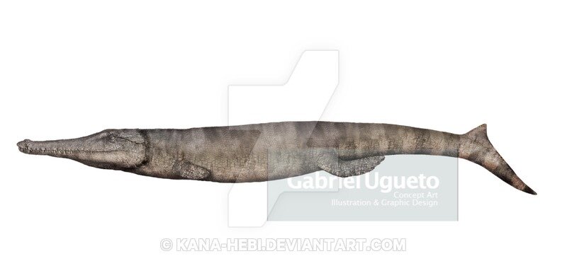 Метриоринхиды (Metriorhynchidae) – морские крокодилы с рыбьими хвостами