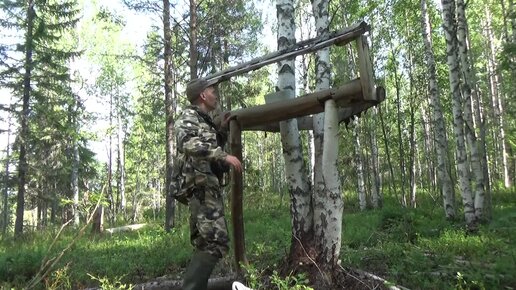 В ТАЙГУ ЗА ЧЕРНИКОЙ / ЯГОДЫ КАРЕЛИИ / СОЛОНЕЦ ДЛЯ ЛОСЯ / ПРОВЕРКА БОБРОВОГО ПОСЕЛЕНИЯ