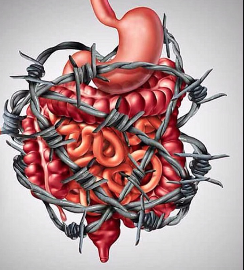 Efectul vitaminei D asupra fiecărui organ