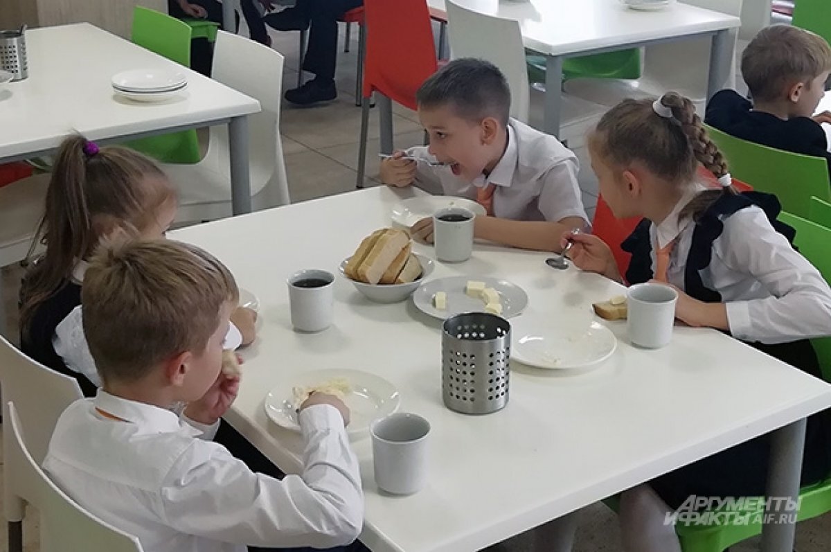    Депутаты в Башкирии приняли закон о социальном питании