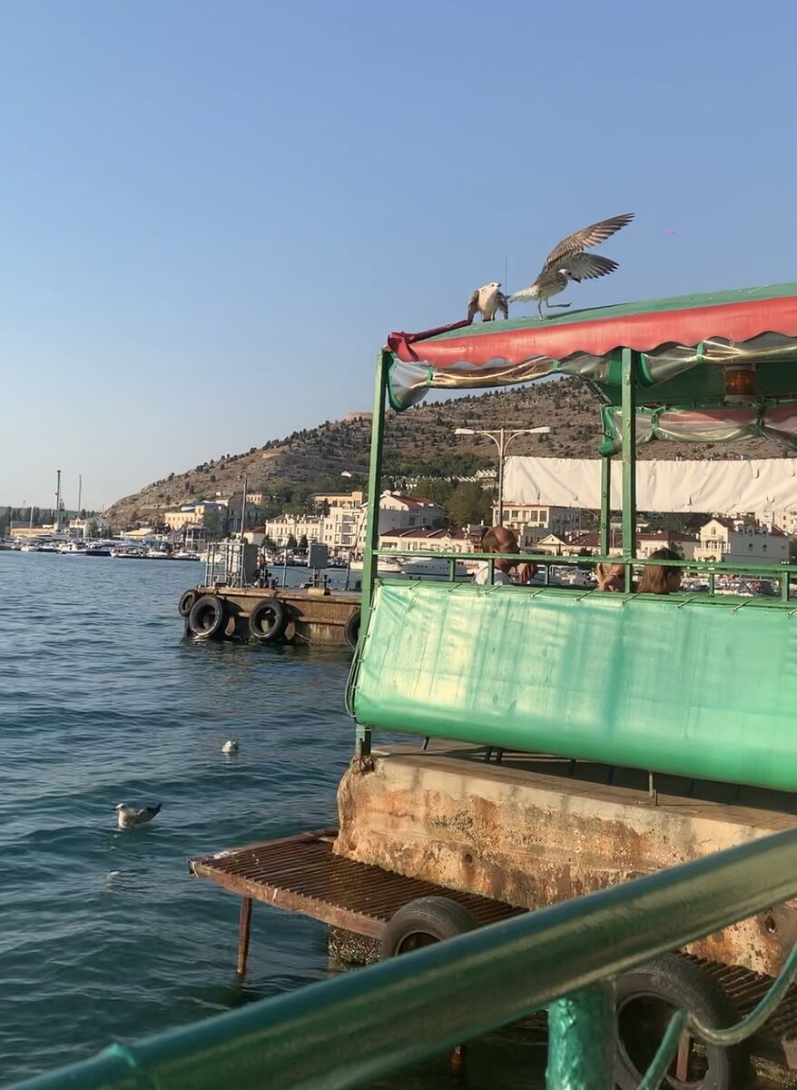 Сели прямо у моря 