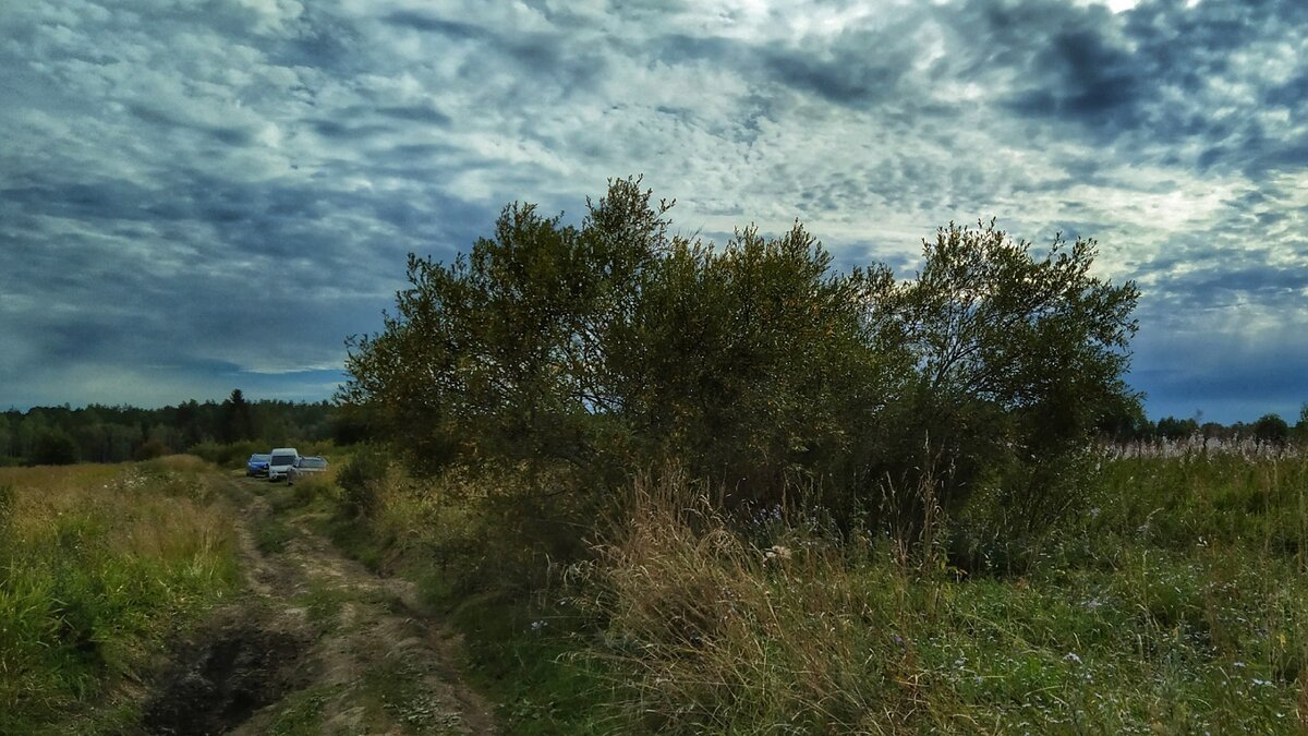 Дорога есть, машины есть, а домов не видно.