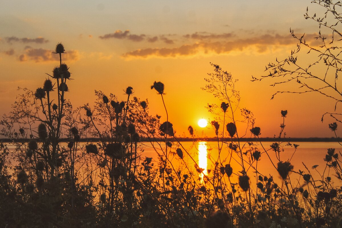 Ростовский закат. 