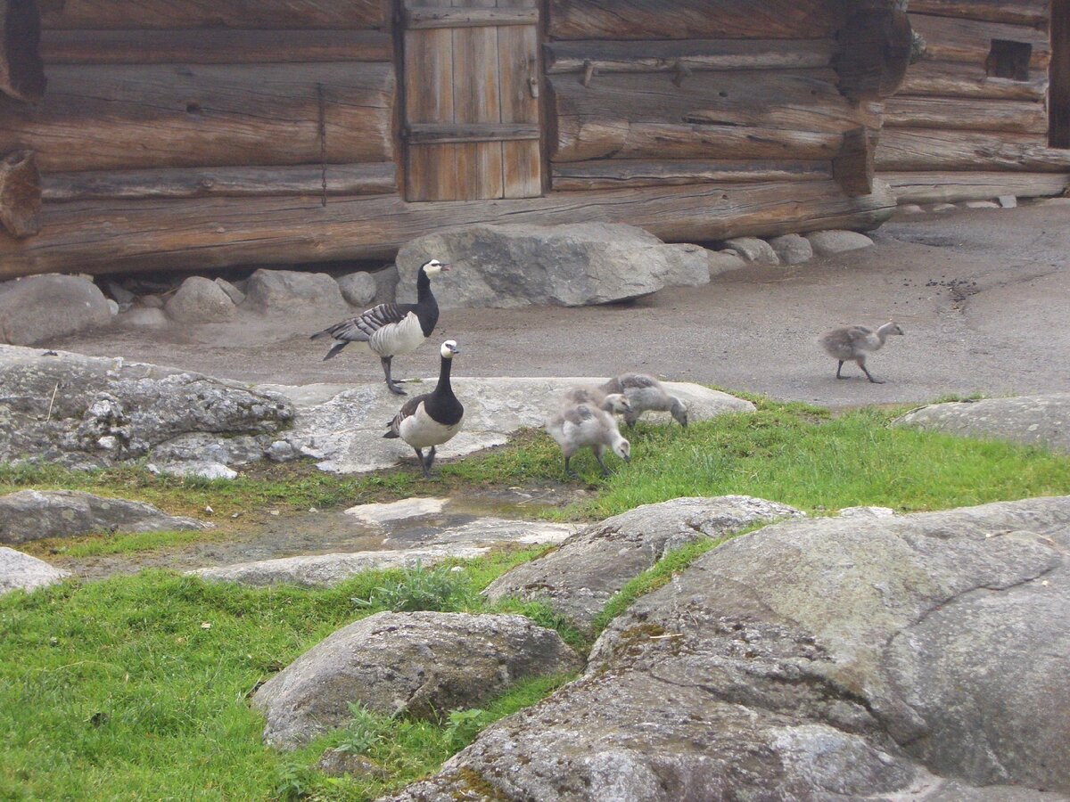 Никто никого не боится. 