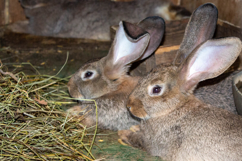 Фото из личного архива