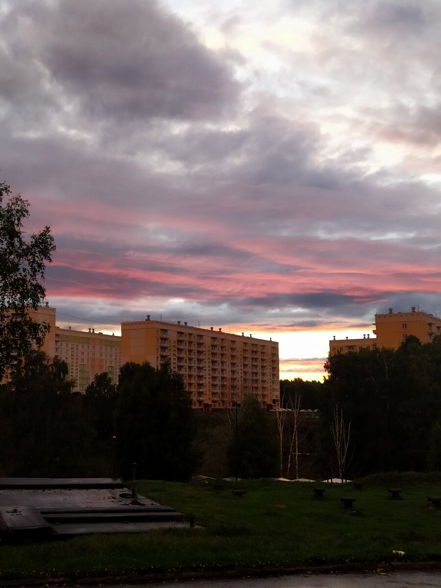 Типиный человейник