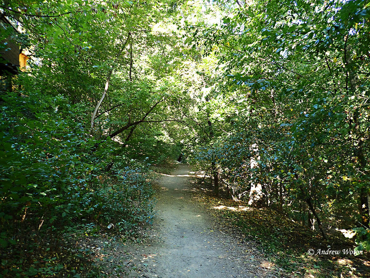 Тропинка к роднику Серафима Саровского