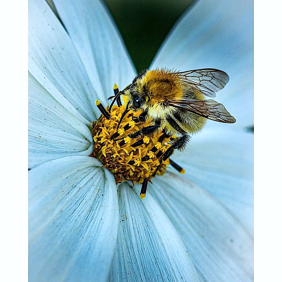 https://www.instagram.com/laurentlagache60/