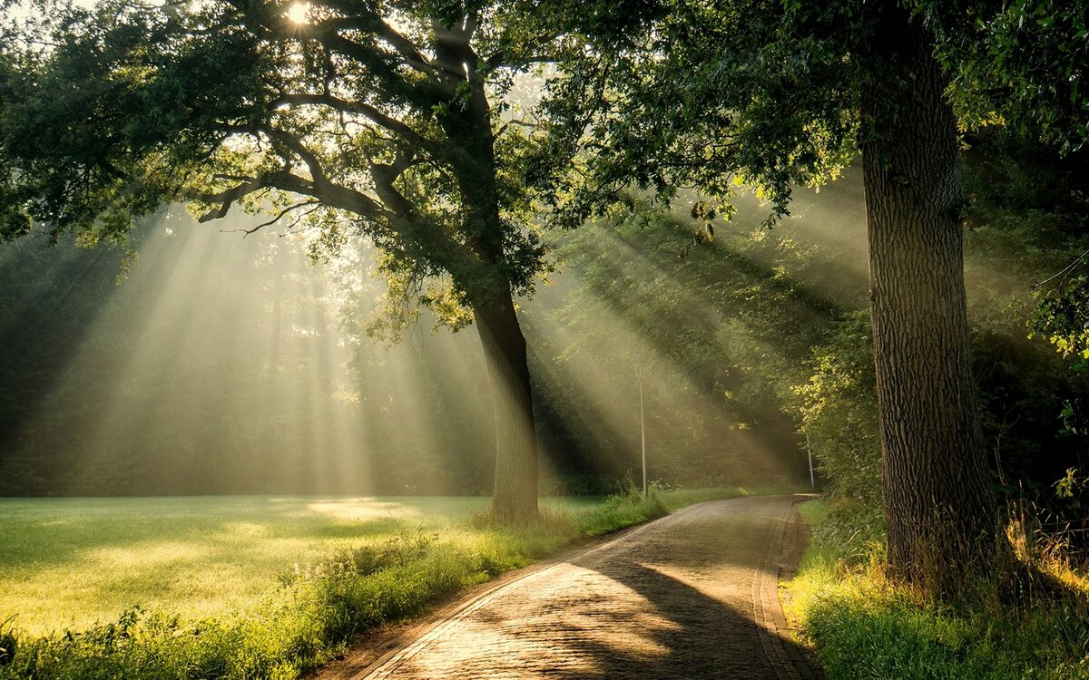 Источник: Яндекс картинки