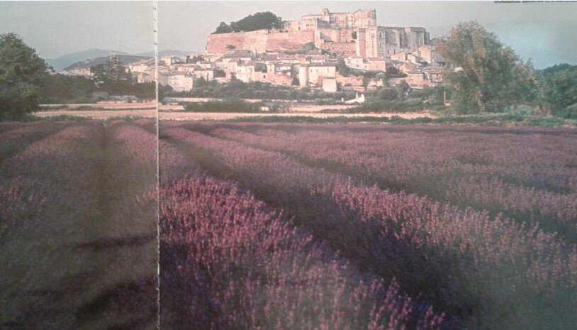 Покидая Прованс, многие путешественники уносят с собой веточку лаванды на память о прекрасном мире