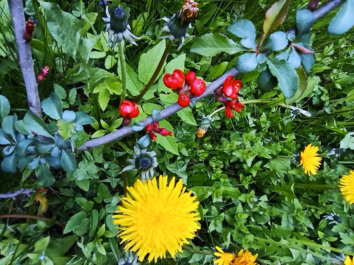 Я представляла себе прогулки на природе