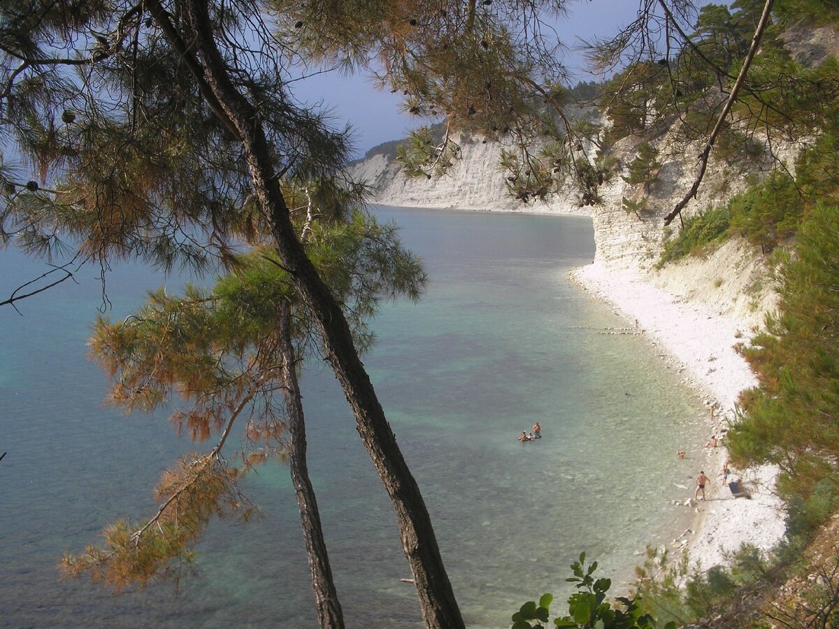 Вид из туалета