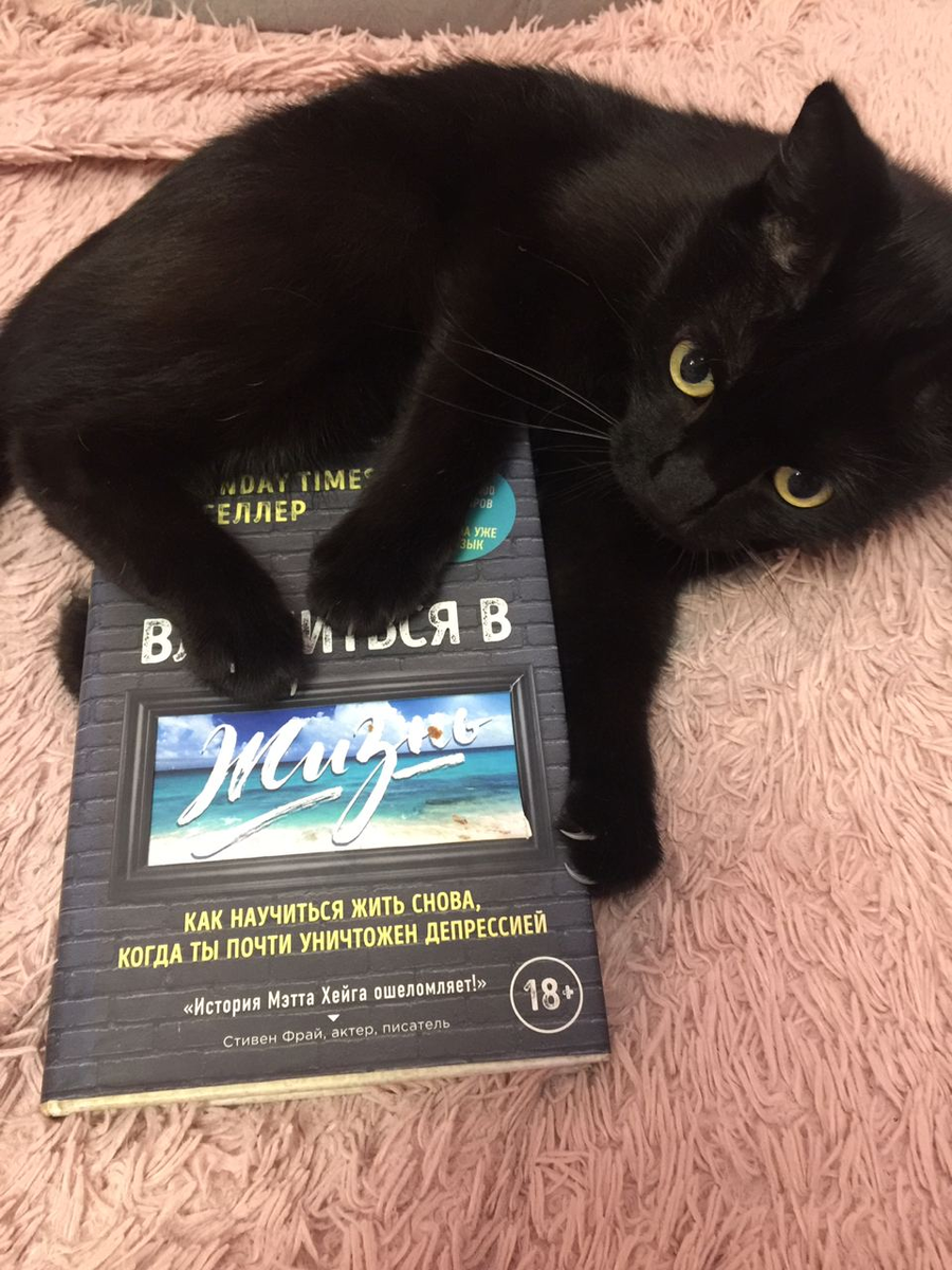 Даже котики любят читать, берите пример:)