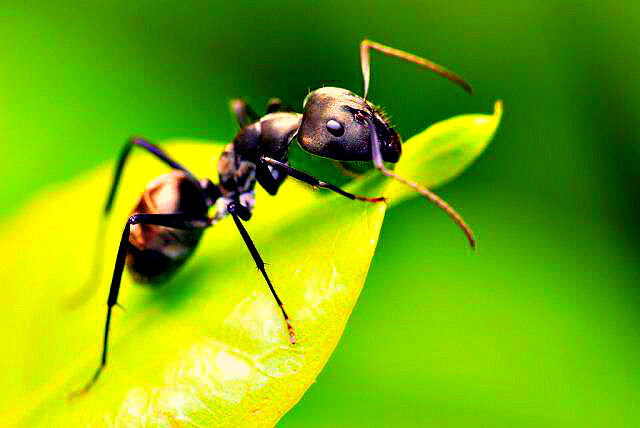 Фото из сети