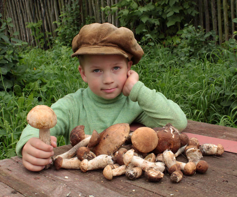 Грибы. Грибы в лесу. Мальчик с грибами. Фотосессия с грибами.