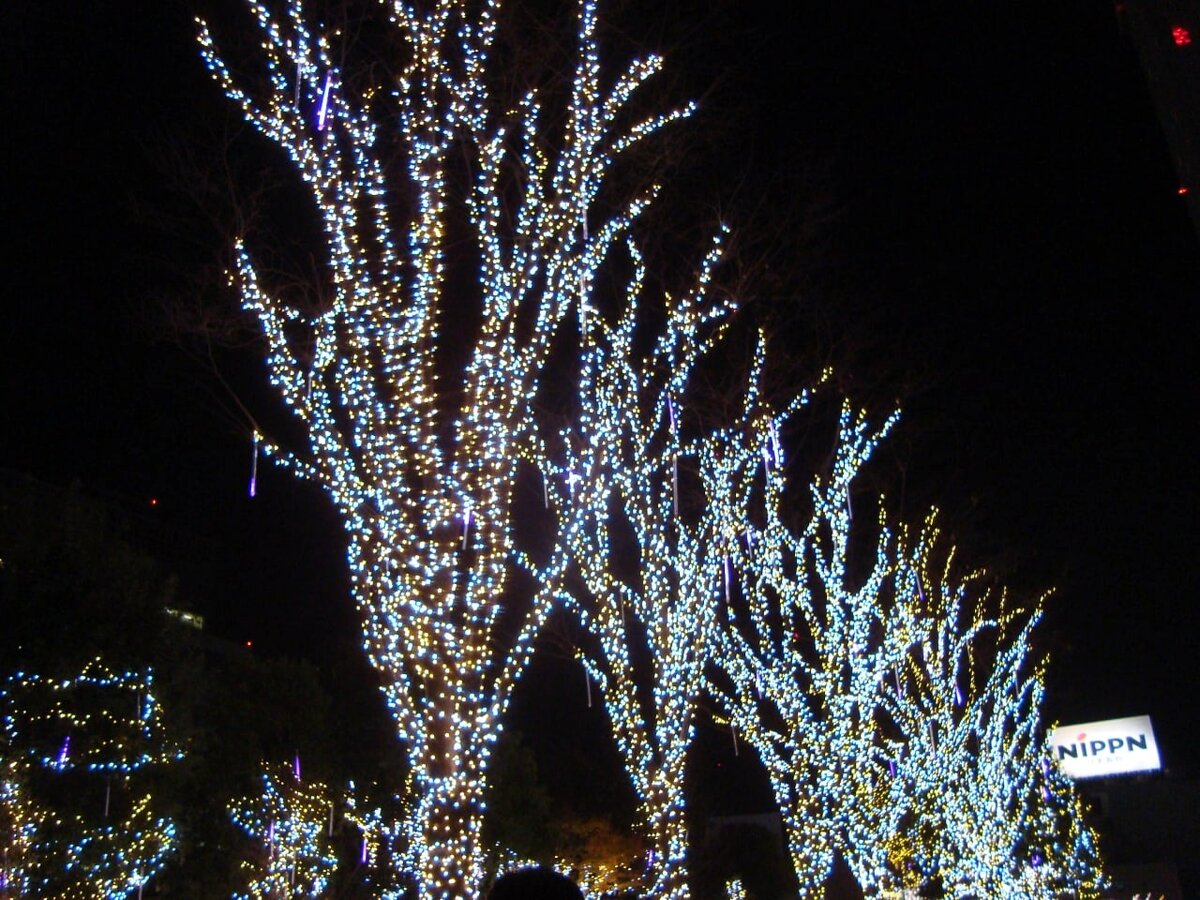 На Рождество в Токио повсюду огни. 