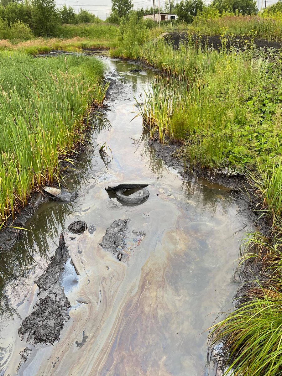 В этой соляре воды не обнаружено 