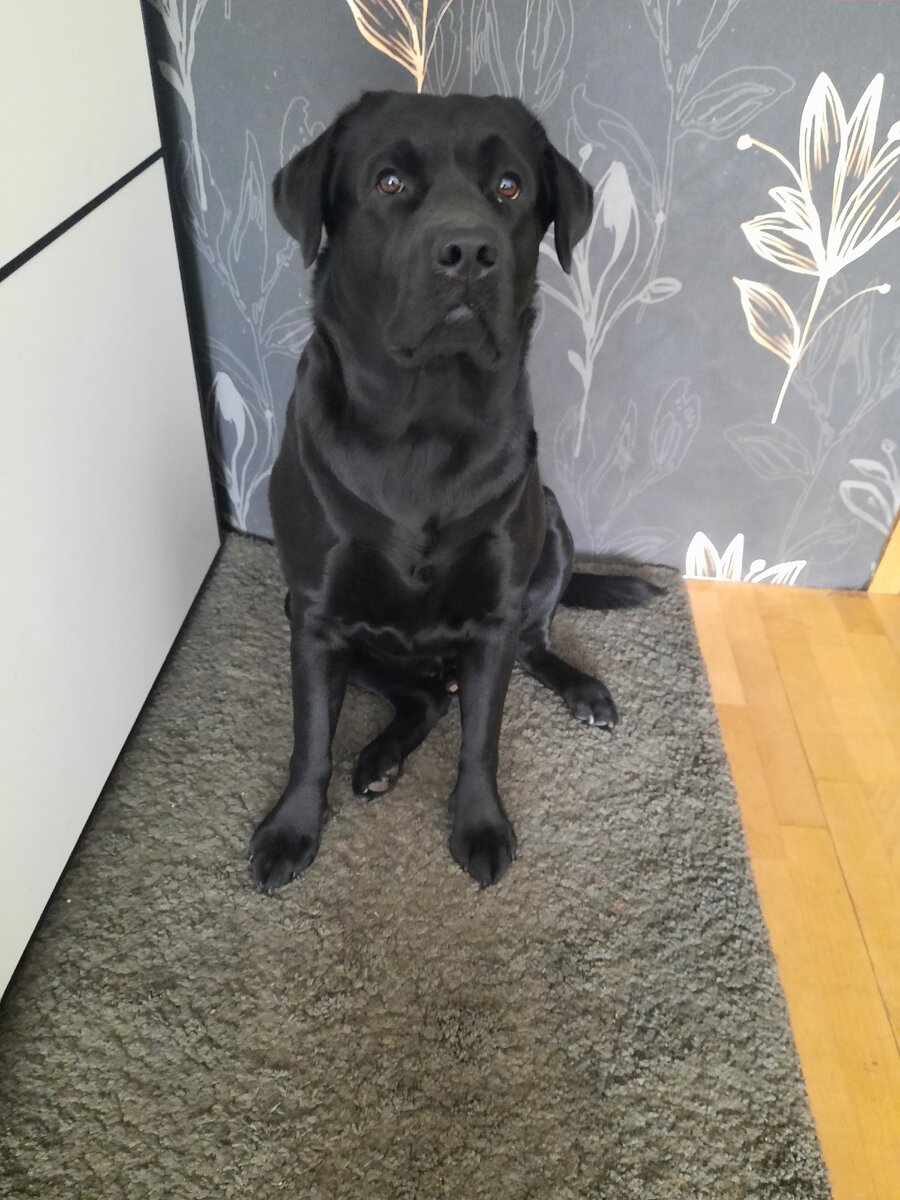 А у меня день варенья