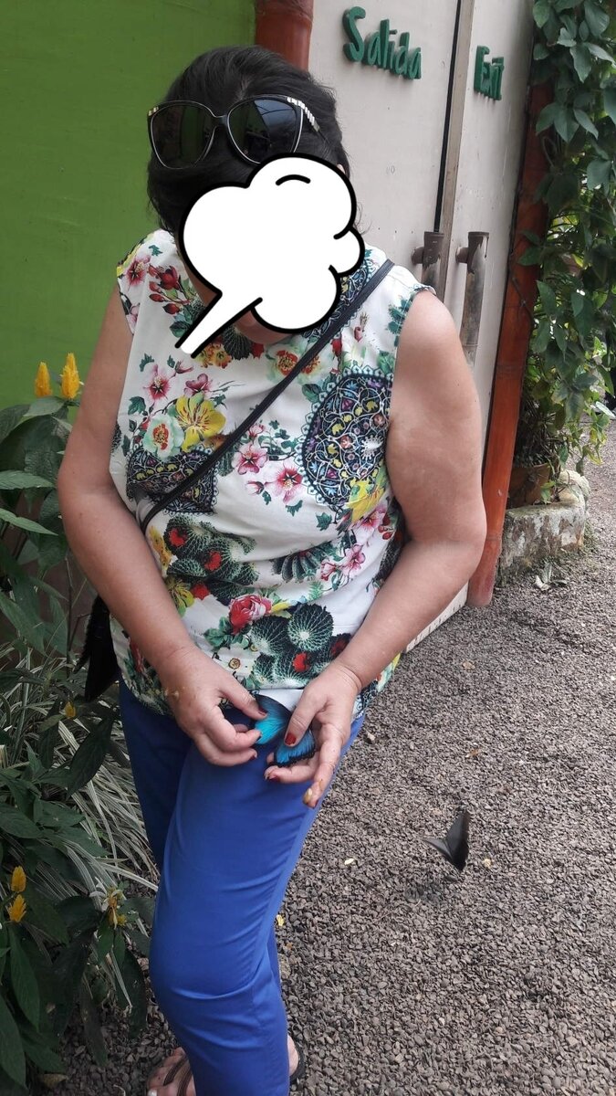 Вот таких синих бабочек я видела в джунглях Амазонки. Индейцы делают из крыльев этих бабочек ювелирные украшения. Каким- то образом сочетают их с серебряными изделиями. На фото не видно,но крылышки перламутровые, очень красивые и переливаются.