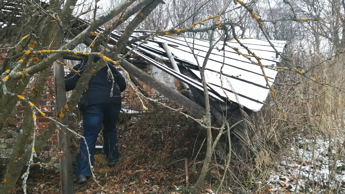 Посмотрели последний дом в вымершей деревне. Деревня существовала всего из  трех домов на берегу реки | Познаем вместе! | Дзен