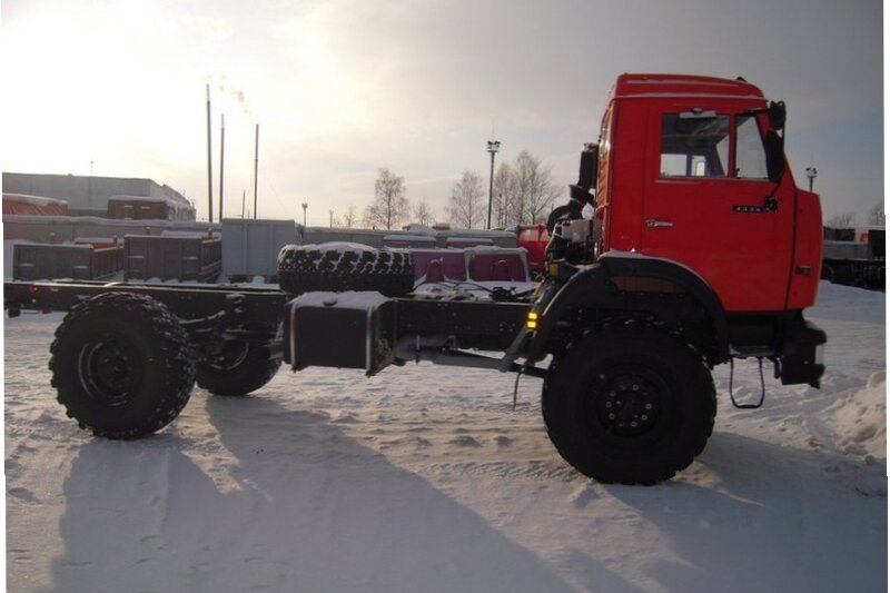 Почти скелет! Фото из открытых источников 