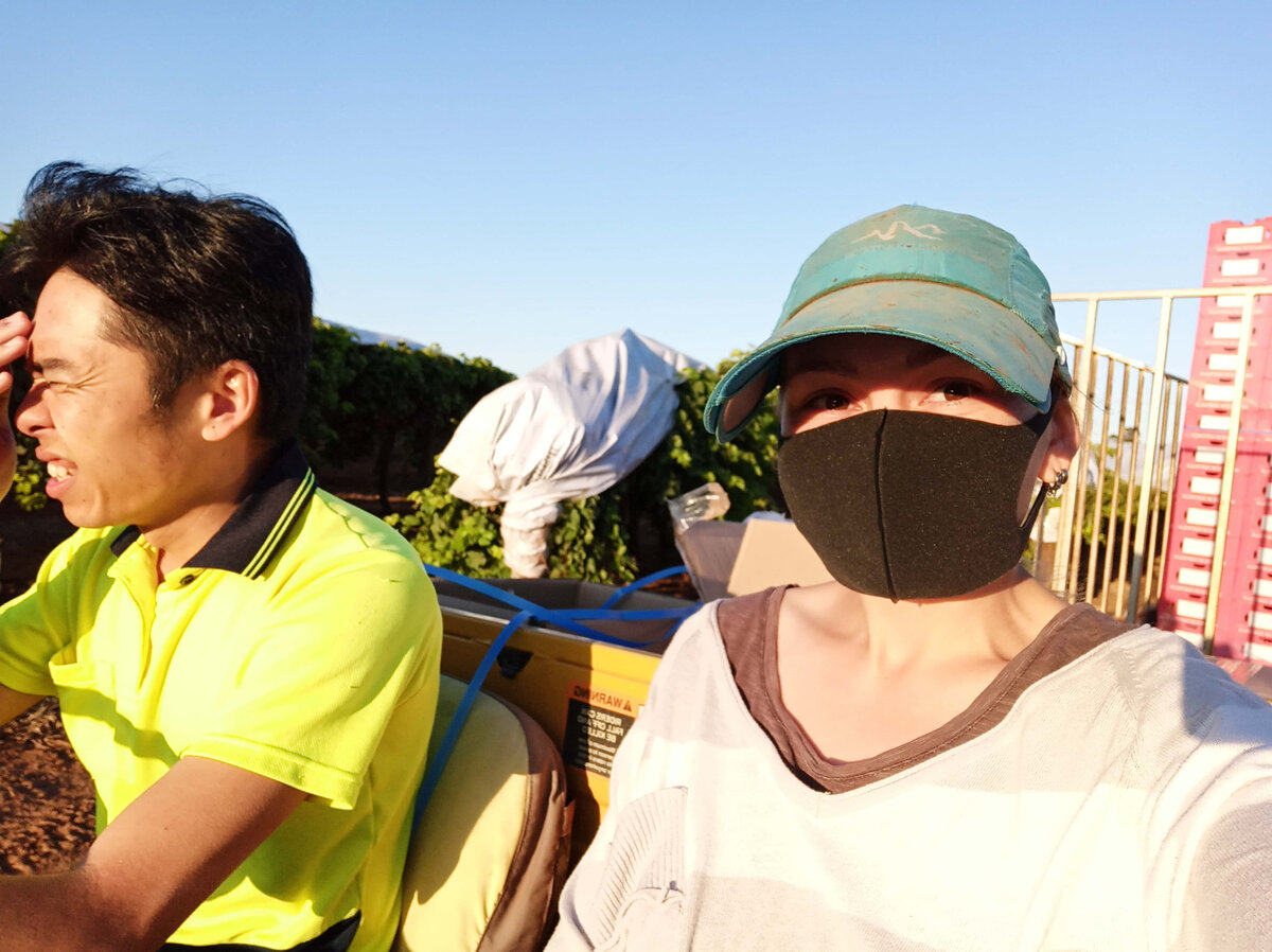 Рассекаем на небольшой фермерской машине с коробками для винограда